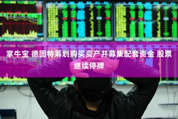 掌牛宝 德固特筹划购买资产并募集配套资金 股票继续停牌