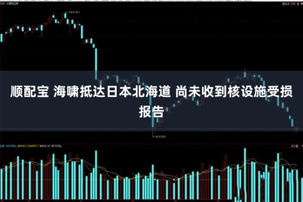 顺配宝 海啸抵达日本北海道 尚未收到核设施受损报告